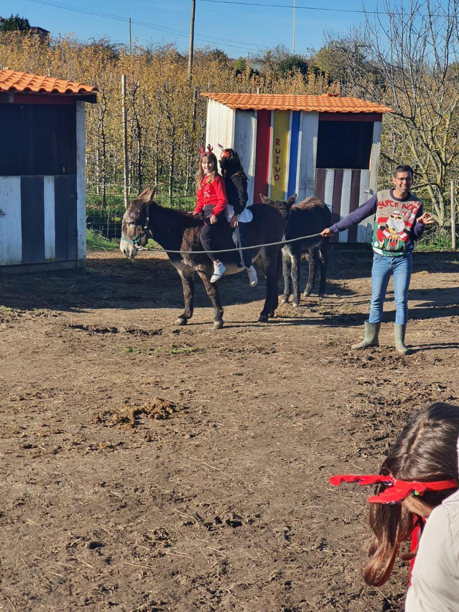 Gojim Casa Rural Armamar Zewnętrze zdjęcie